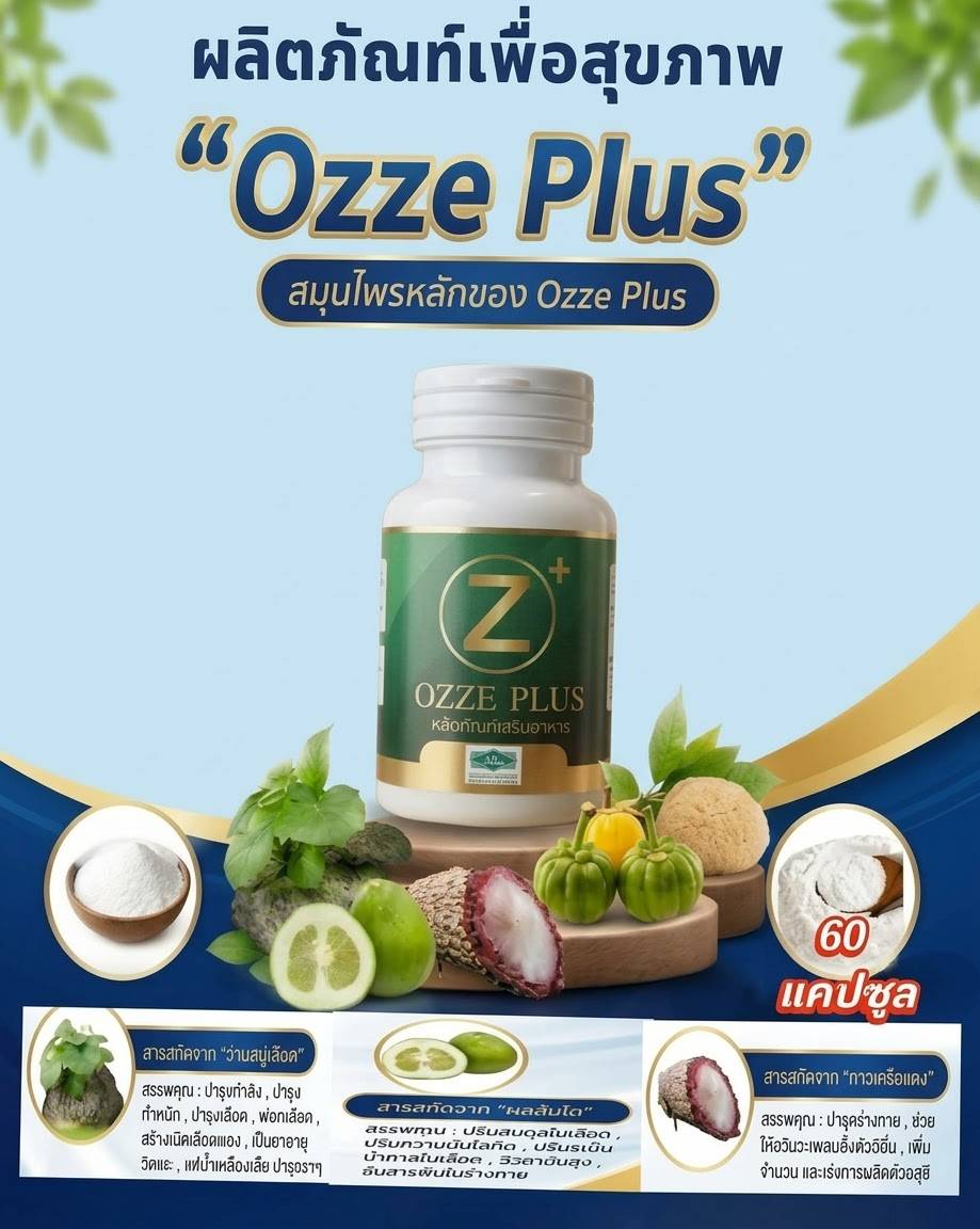 OZZE PLUS สมุนไพรเพื่อสุขภาพ 1 กล่อง