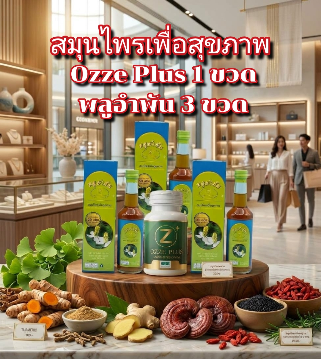ผลิตภัณฑ์เสริมอาหาร OZZE PLUS 1 สมุนไพรเพื่อสุขภาพ 3